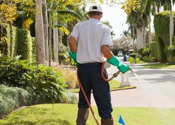 About Cramerton NC Pest Control Pros